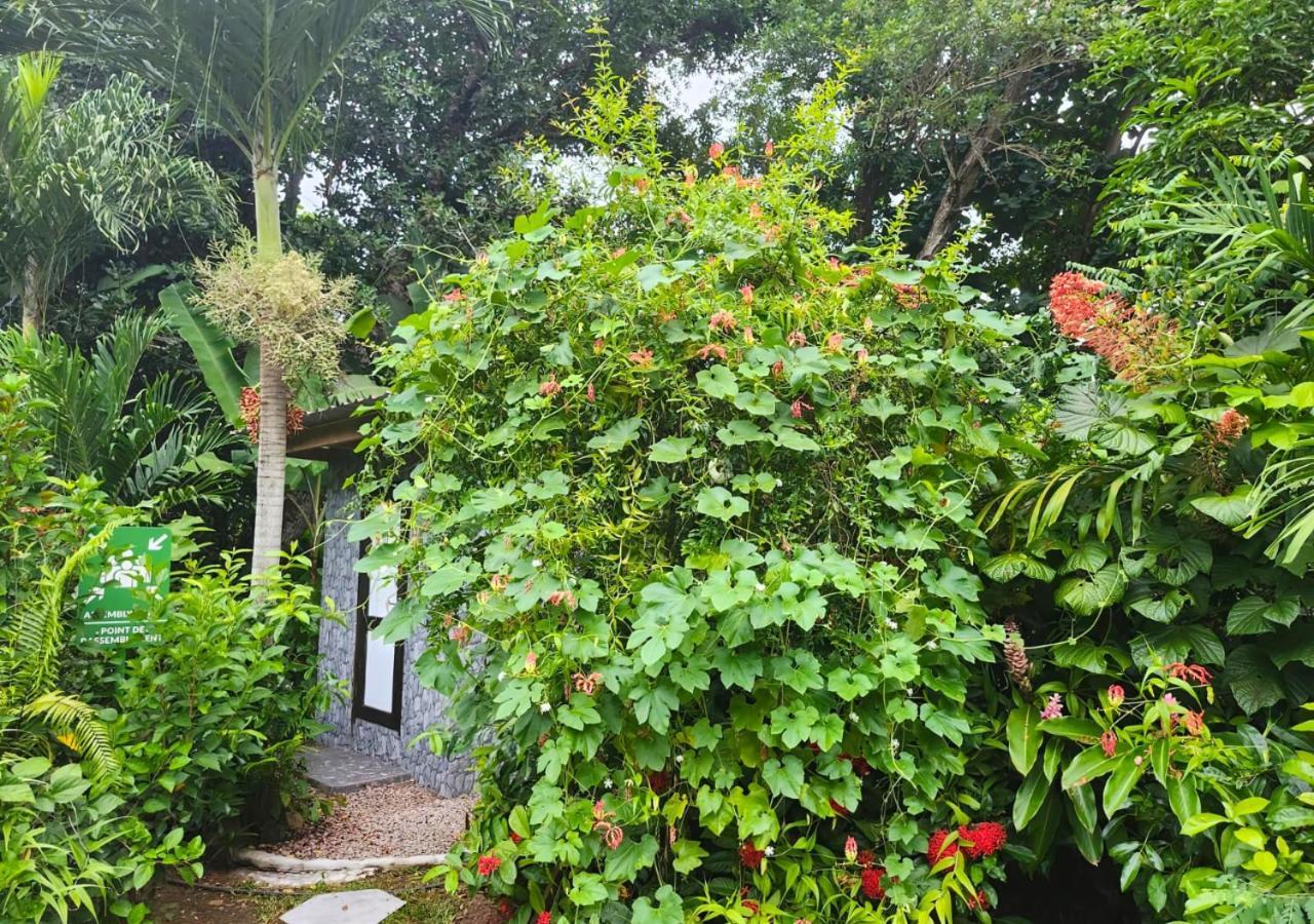 Buisson Guesthouse La Digue Exterior photo